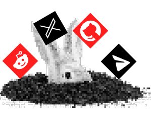 rabbit-second